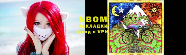 ешки Билибино