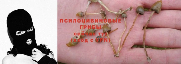 mix Краснослободск